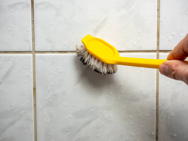 Best Mold Testing  in Sebastian, FL